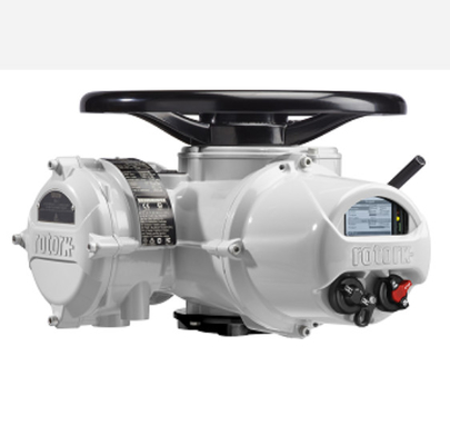 中国人のWuzhong弁およびFlowserveの球弁が付いているROTORKの電気アクチュエーターI.Q.