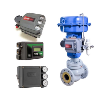 フィッシャー DVC6200 と制御バランブボディ