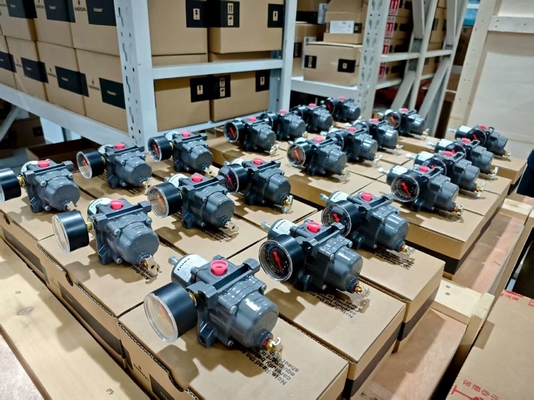 フィッシャー 67CFR 圧力調整器 合金鋼 450 psig 1/4 NPT