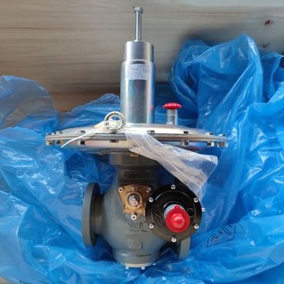 ストックサプライヤー 圧力機器 Tartarini V/61 自動スプリング式安全弁 低圧用途向け