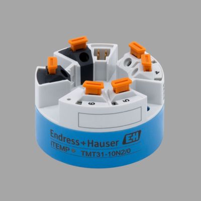 エンドレス+ハウザー プロリン プロウィル R 200 渦流量計とITEMP TMT31温度送信機を装備した減圧と冷却ステーション