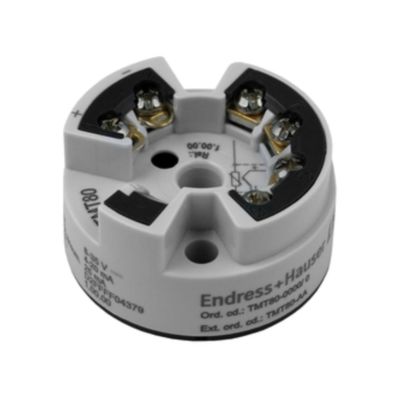 Endress+Hauser Proline Prowirl D 200渦流量計とITEMP TMT188温度トランスミッタを備えた圧力/流量制御デバイス