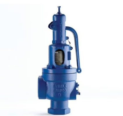 究極のソリューション ガスオーブン安全弁 Spiraxsarco SV607DS および Burkert ソレノイド