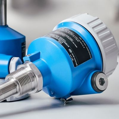 エンドレス・ハウザー バイブロニクス ポイントレベル検出 Liquiphant FTL50 FTL51 FTL51B FTL51C FTL62 FTL64 FTL70