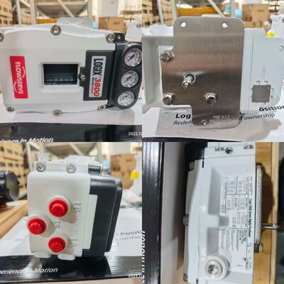 Flowserve 3841-43MA-D43R-1130-00 3821-28EA-D43L-1130-00 Logix 3800 Industrial Digital Valve Positioner Controller Price