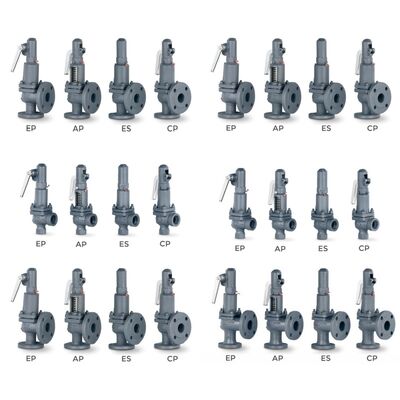 VYC 産業用バルブ AIT 485 486 494 495 496 596 696 圧減バルブ 圧縮スプリング付き安全バルブ