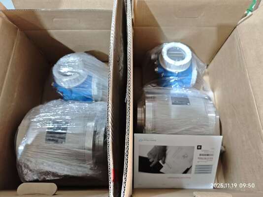 Bronkhorst IN-FLOW 質量流量計とE+H Endress Hauser – 産業オートメーション向け正確なガス制御、在庫あり