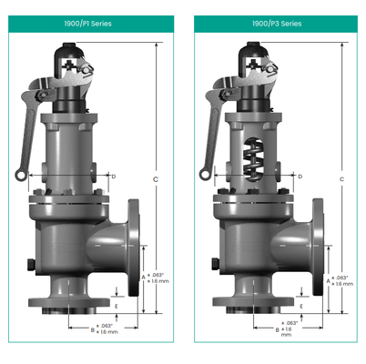High Capacity Consolidated Type 1900/P Type ASME Certified Spring Loaded Safety Relief Valve for Boiler & Pressure Vessel