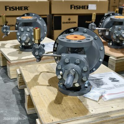 EMERSON Fisher圧力調整器1098-EGRおよび1098H-EGR（ガス流量制御用パイロット付き）の中国製デバイス価格
