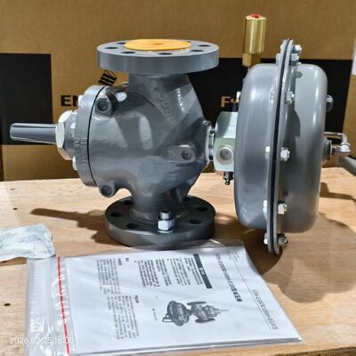 燃料ガスの圧力調整器のフィッシャー95Lのガスの調整装置のスキッドの台紙のパッケージ