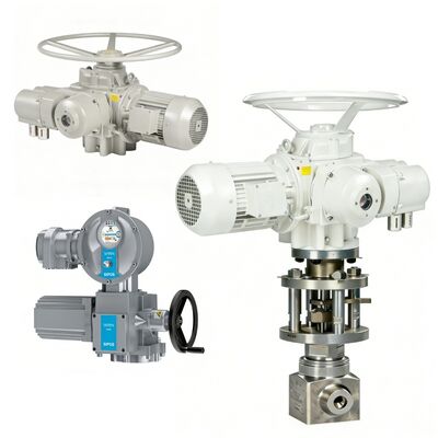 SIPOS M7636 M7637 Actuator with EHO Electric Globe Valve Nuclear Power Plant Application Extreme Condition