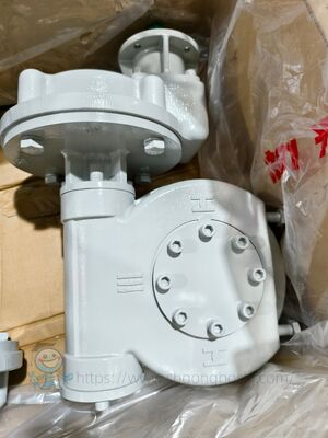 工場OEM 電動プラグボールバタフライバルブローターク IQT四半期ターン電動アクチュエータ IW5 半回転ギアボックス