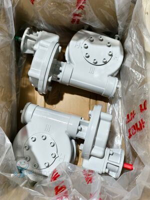 Rotork IWシリーズ バルブ ワーム ギアボックス クォーターターンギア 操作者 自閉ボール バターフライ プラグ バルブ