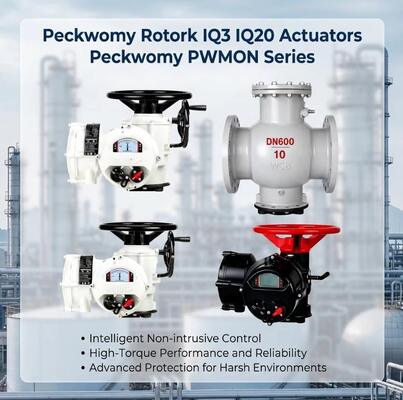 ペックウォーミー PWMONシリーズ 防爆OEMボール電気アクチュエーター ディスプレイガスメディア 交換可能なロトーク IQ3 IQ20アクチュエーター