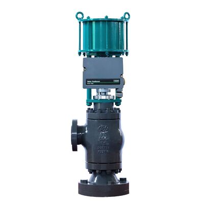 プレアセンブリされた4-20mA DCバルブポジショナー パッケージとNEMA 4X IP66キャビネット  pneumaticバルブポジショナー制御