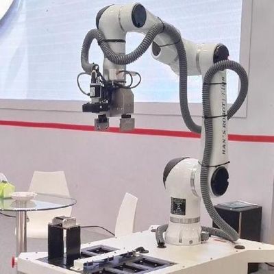 磨く機械のための産業共同のロボット腕6の軸線小妖精E10 10kg