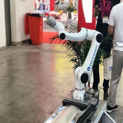 磨くロボットのためのロボティック腕のマニピュレーターのロボット腕6の軸線小さい小妖精E05