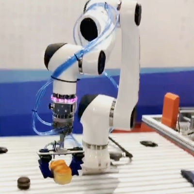 組み立てロボットのための一突きおよび場所のロボット腕小妖精E10-L 1300mmの範囲
