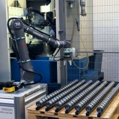 共同のロボットとして物品取扱いのロボットTM5M-700ロボティック腕6の軸線