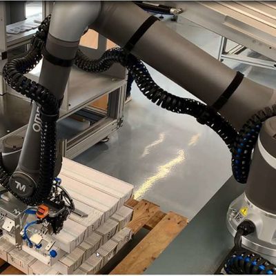 Cobotのロボットとして共同のロボティック腕OMRON TM12Mのロボット腕6の軸線