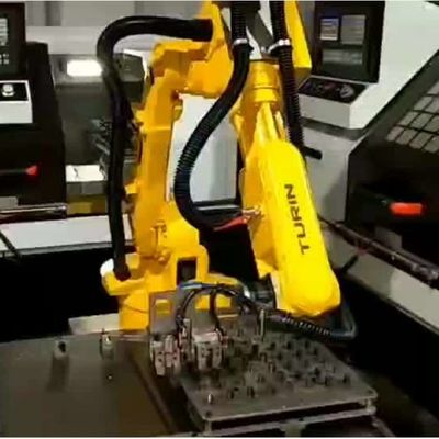 中国のロボット原子10KG 1378MMのプログラム可能なロボティック腕6の軸線のパレットで運搬するロボット