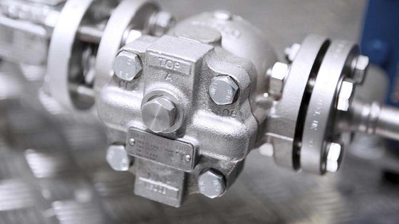ねじで締められたボール・フロートの蒸気トラップFTGS14 Spirax Sarco