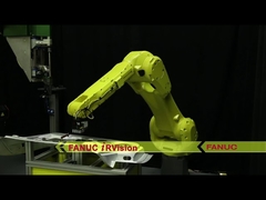 Fanuc Arm Robot Arm Model  M-900iB-280